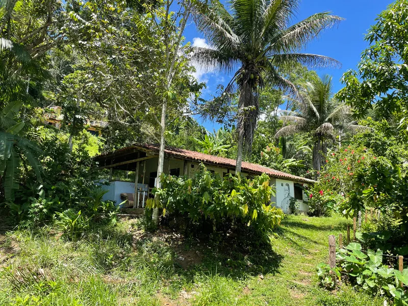 Casa Porto Cultural - maison au cœur de la Mata Atlântica, Bahia, Brésil